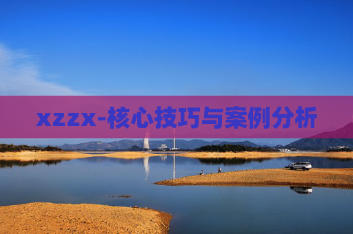 xzzx-核心技巧与案例分析 xzzx-核心技巧与案例分析