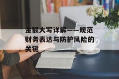 金额大写详解——规范财务表达与防护风险的关键